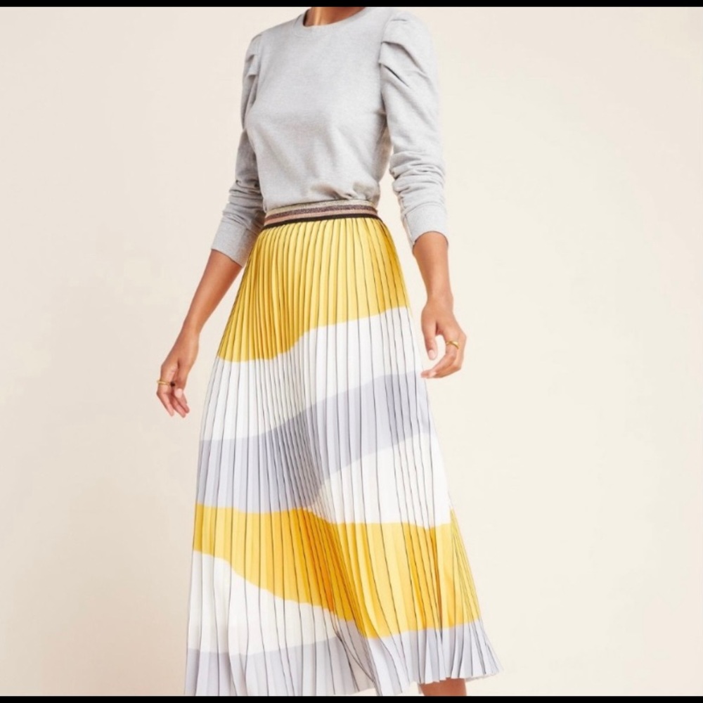Anthropologie maxi skirt Eva Franco